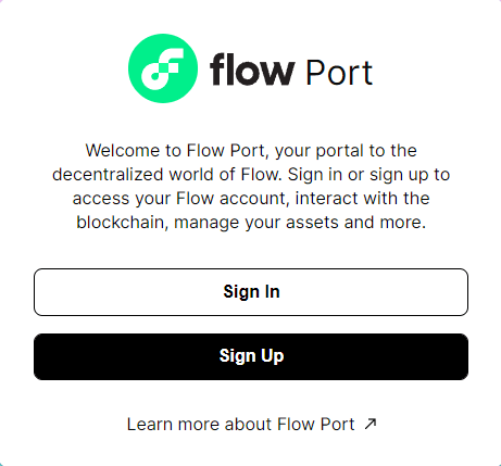 FLOW PORTの画像